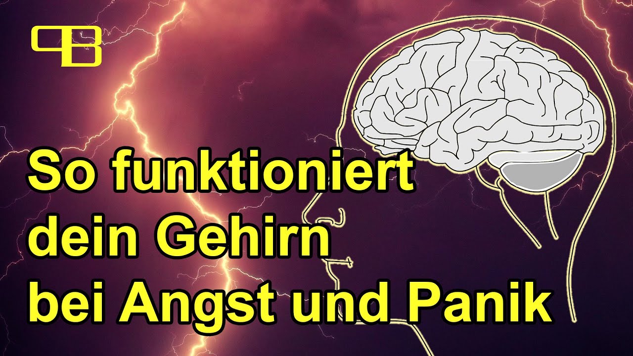 Was in deinem Gehirn passiert wenn du Angst oder Panikattacken hast