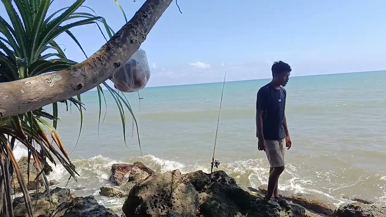 Surviving the First Day: Fishing on a Deserted Island