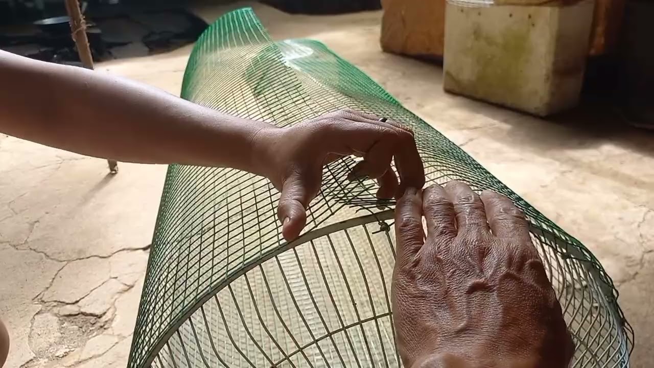 DIY Bird 🐦 Cage #diy  #birds #cage