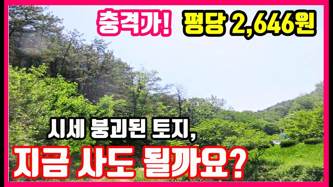 시세 붕괴 토지! 평당 2천원대, 이 가격 실화냐! 19,440평이 5천만원대? 경북 헐값 임야  경북 경주 임야 경매 포항경매 #착한부동산