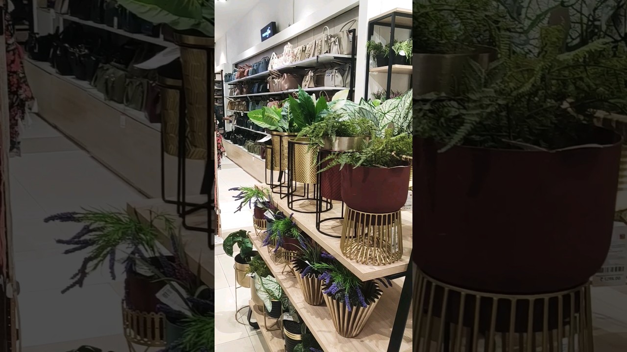 Homedecore under 99😳😳😳 #homedecor #viral #trending #shopping #noida #shorts #shortsvideo
