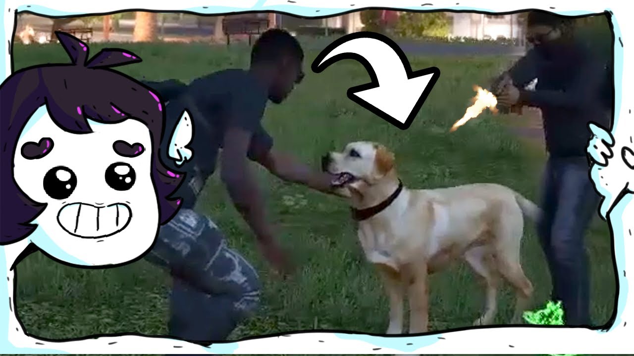 dessa vez foi só carinho... juro...