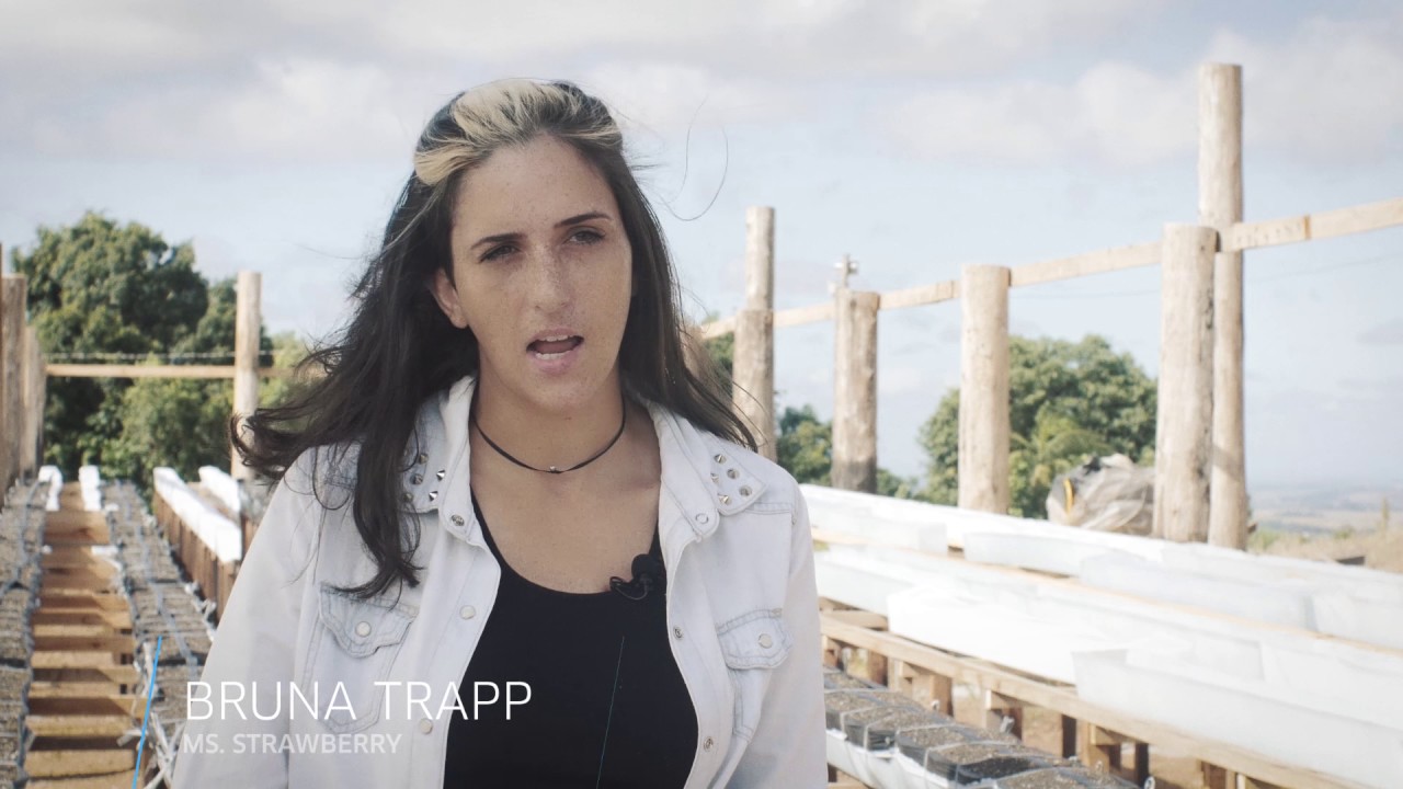 Racaza - Calhas para plantação no sistema semi-hidropônico