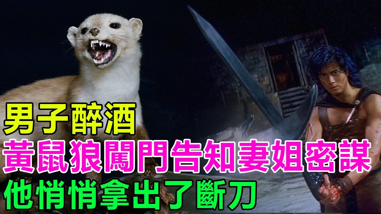民間故事：男子醉酒，黃鼠狼闖門告知妻姐密謀，他悄悄拿出了斷刀
