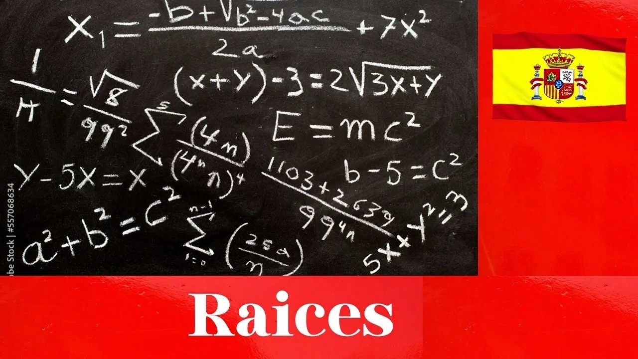 RADICACION