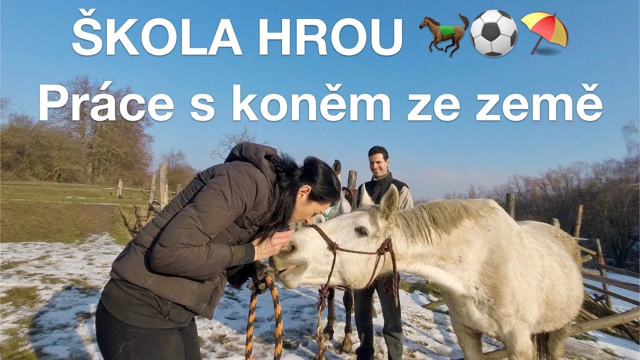 Škola hrou - Práce s koněm ze země 🐎⚽️⛱