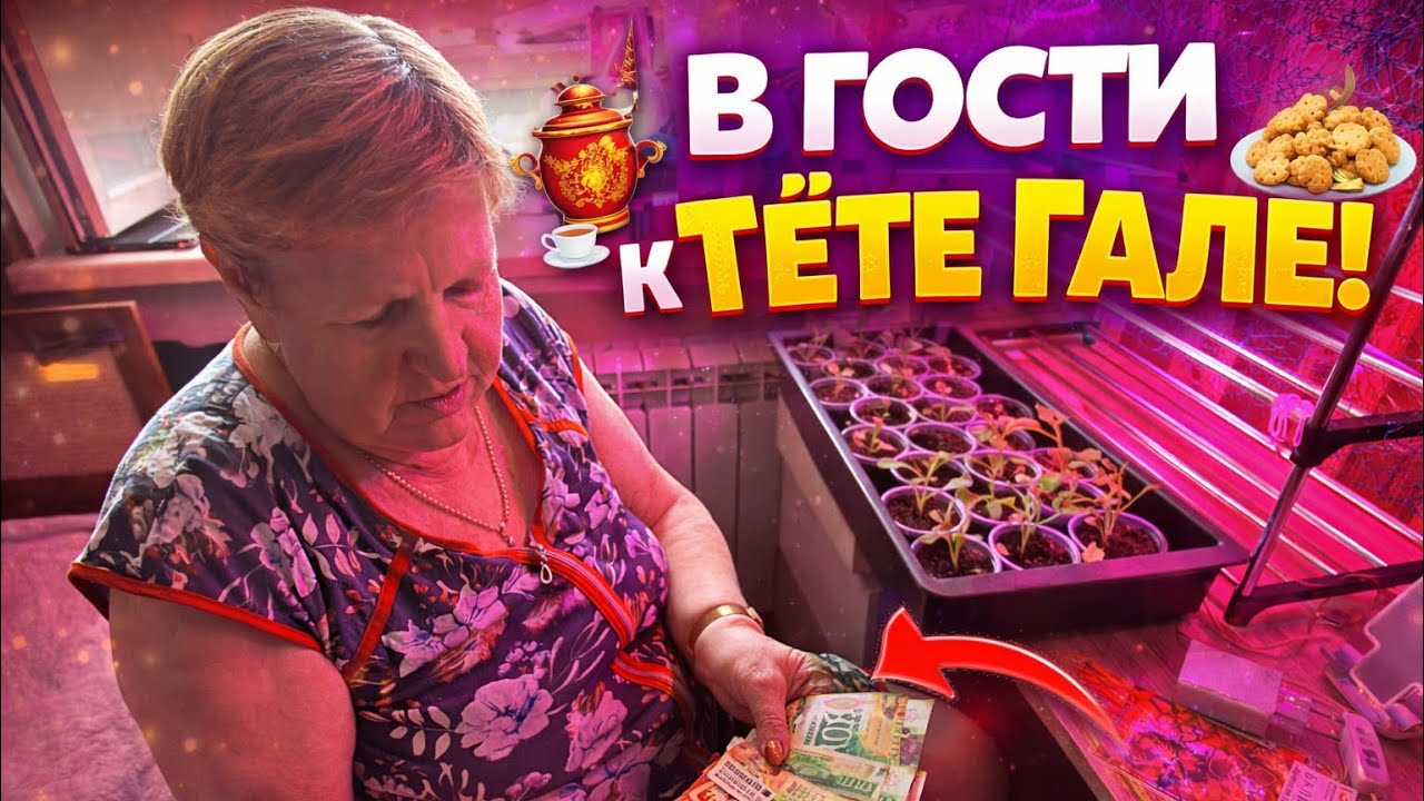 🔥 К ТЁТЕ ГАЛЕ В ГОСТИ! 