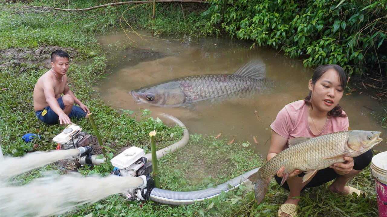 Top Video Fishing, Wild Fishing Cleverly Use A Large Capacity Pump, Catch Many Of Fish In The Lake