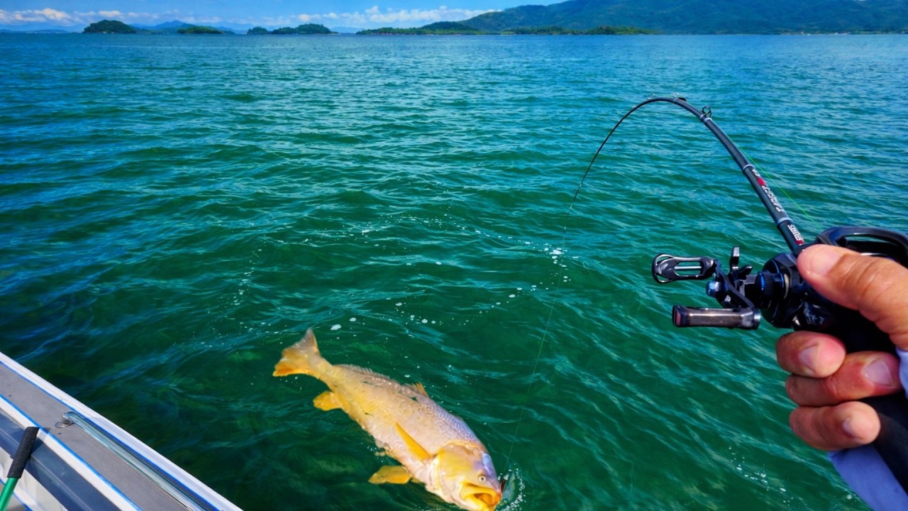 QUE ESTREIA FOI ESSA?! Barco Novo, Pescadas Gigantes e Preparo na Ilha.