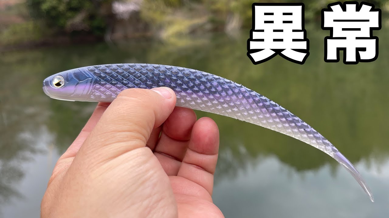 【バス釣り】スーパーフィッシュローラーのインプレ!!想像と違う使用感と7.5inchが異常すぎた件【RAID JAPAN 2024 新製品】SUPER FISHROLLER[新製品動画]