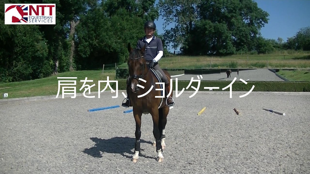 ショルダーイン #7