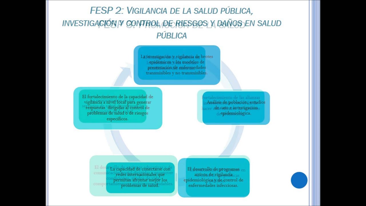 Funciones Esenciales en Salud P&uacute;blica (FESP), OPS 2002