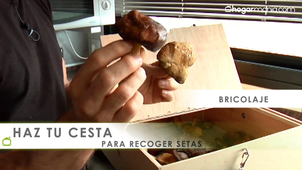 Cómo hacer una cesta para recoger setas 🍂🍄 !FÁCIL¡ - Hogarmanía