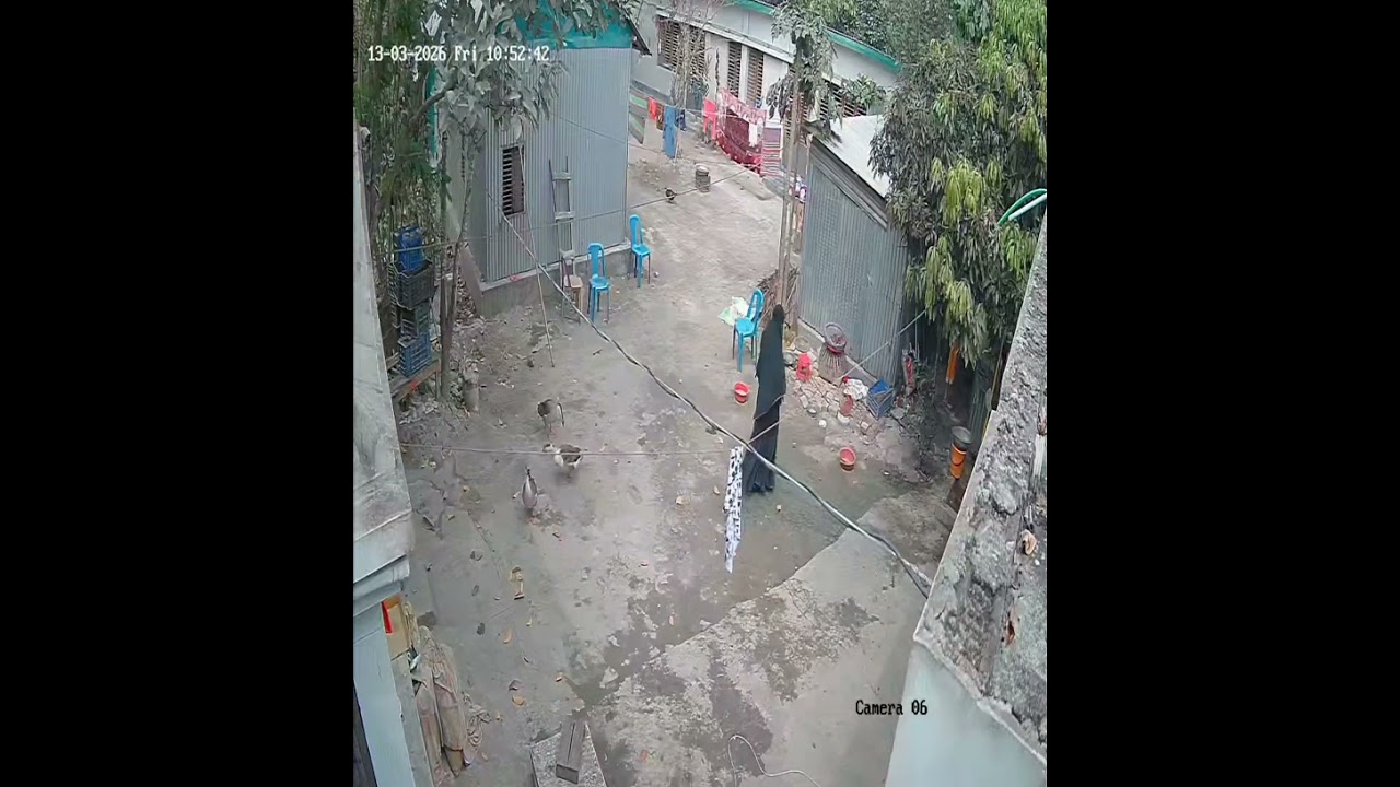  বাড়ি থেকে  রাজা হাঁস চুরি করে নিয়ে গেলো