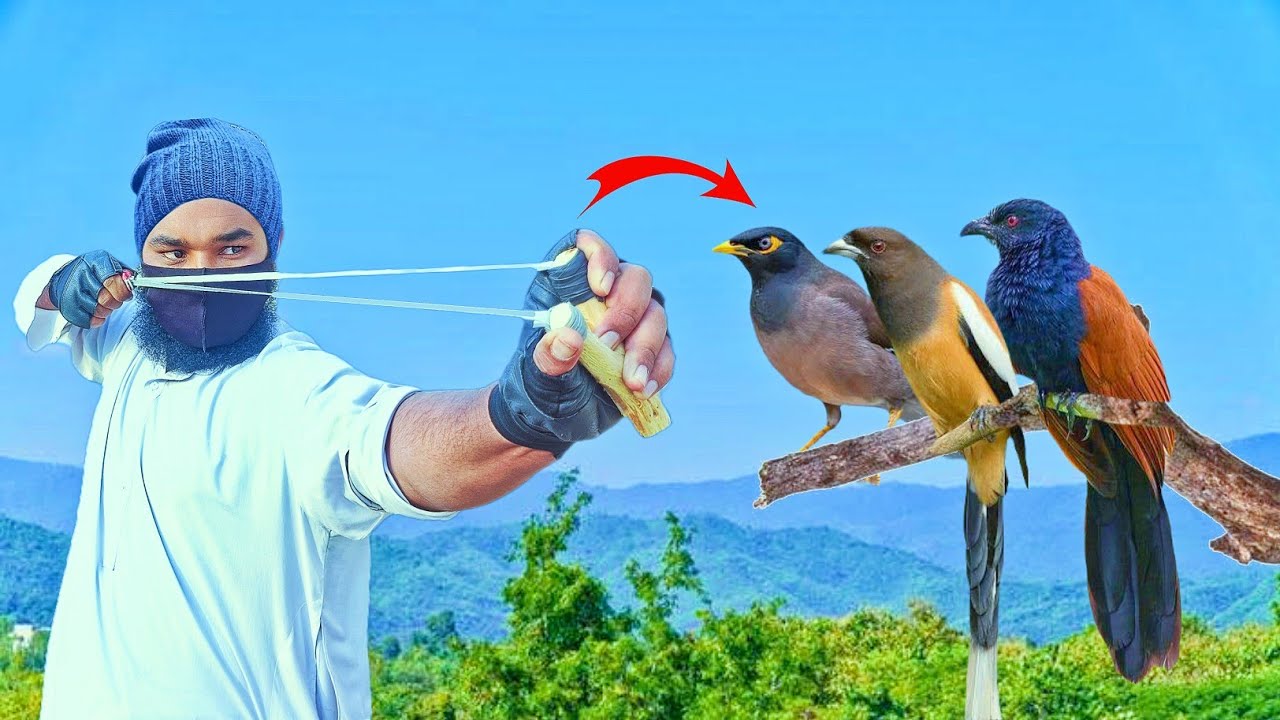 Extreme Bird Hunting Challenge with DIY Slingshots