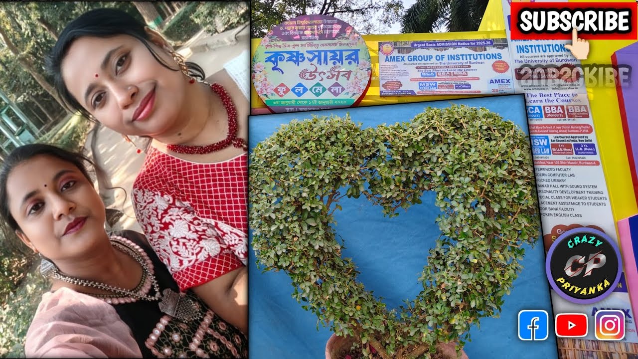 পার্কে গিয়ে এত সুন্দর মেলা দেখে আমি আপ্লুত।। #crazypriyanka #minivlog  
