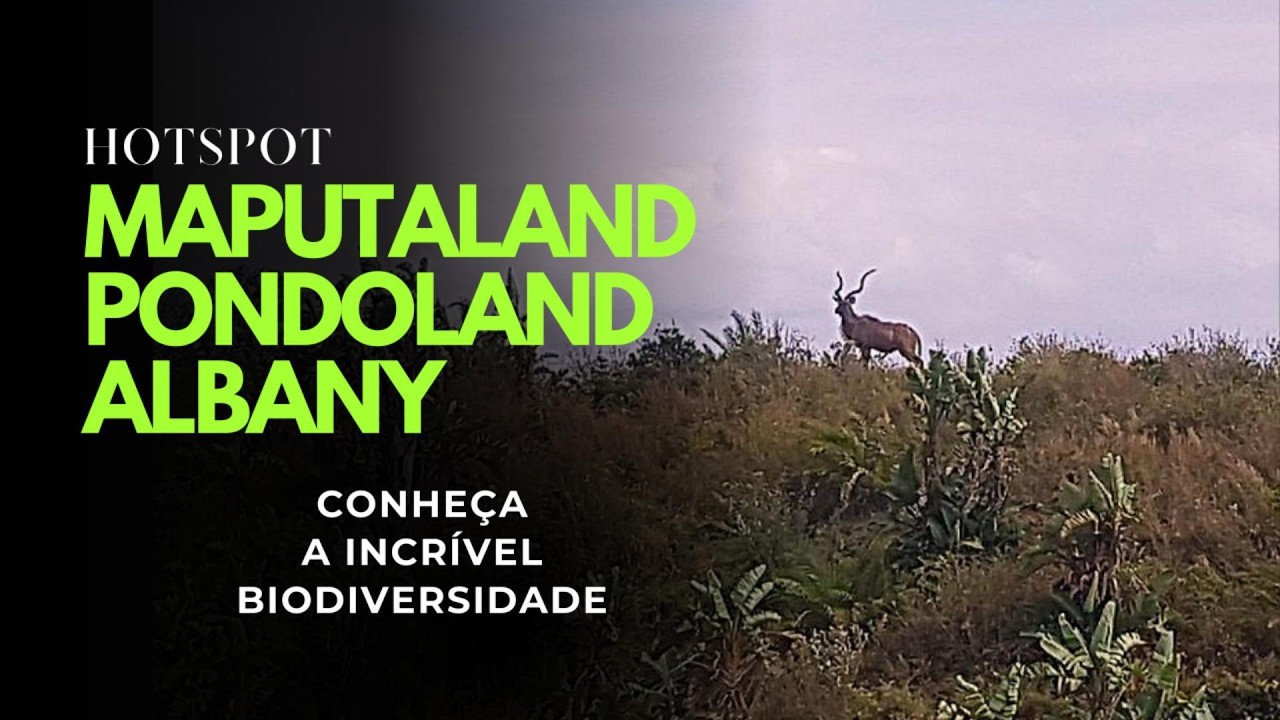 Episódio 5 - Hotspot Maputaland - Pondoland - Albany