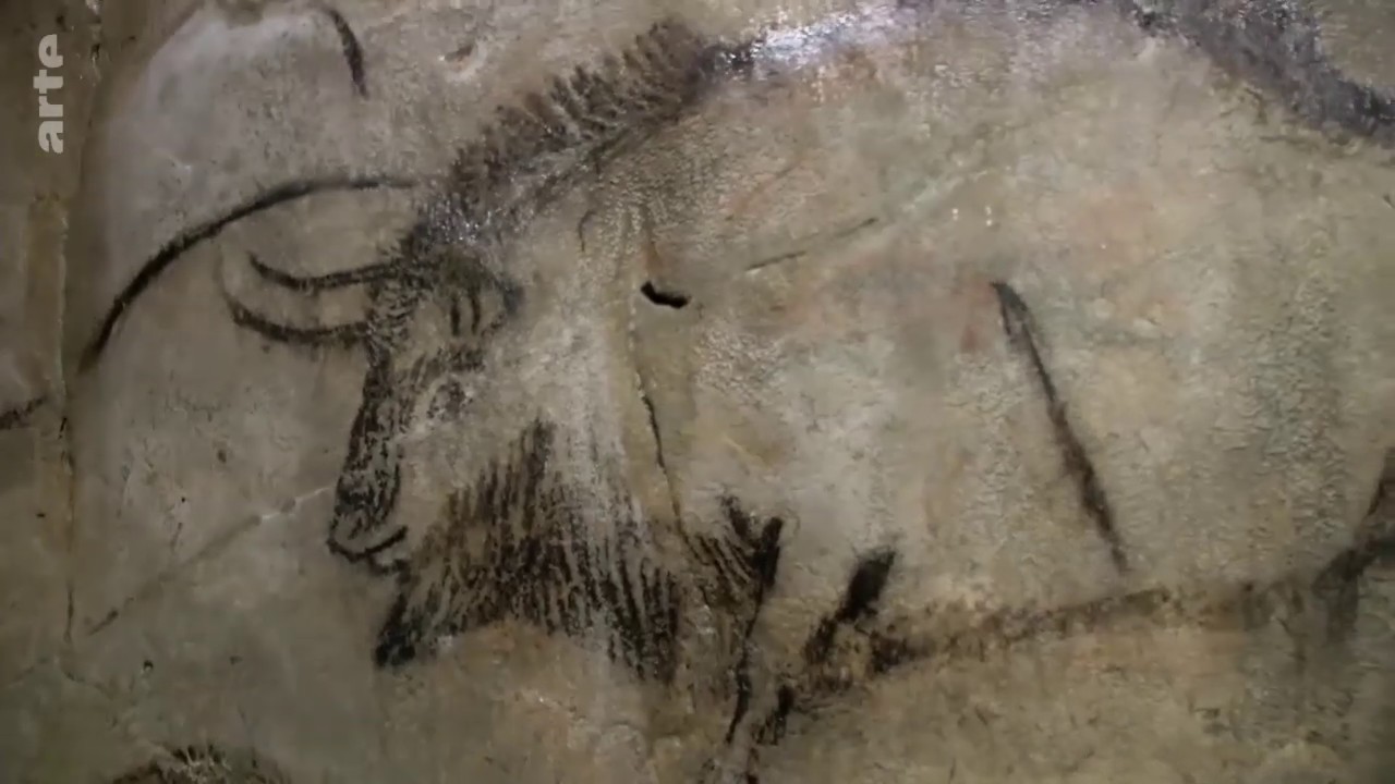 La grotte préhistorique de Niaux | Reportage | ARTE Junior