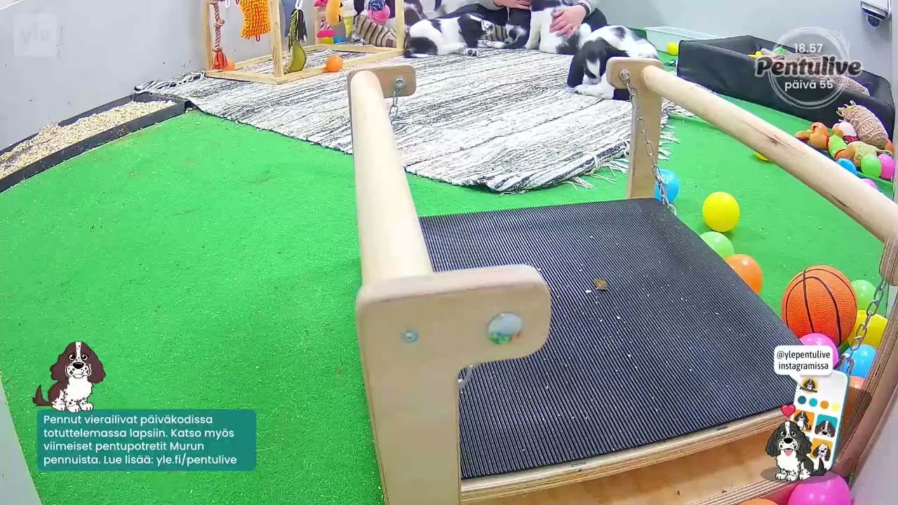 Yle Pentulive 247