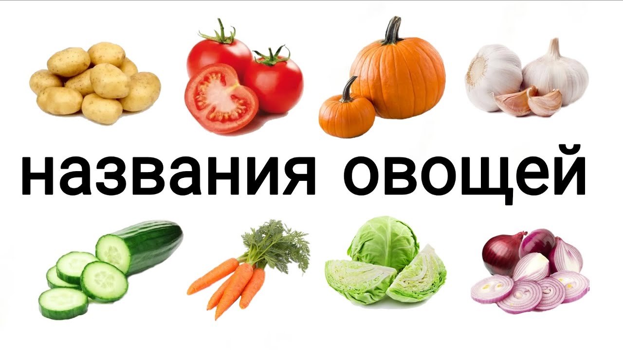 Названия овощей и их польза  | обучающее видео для детей | русские названия овощей 