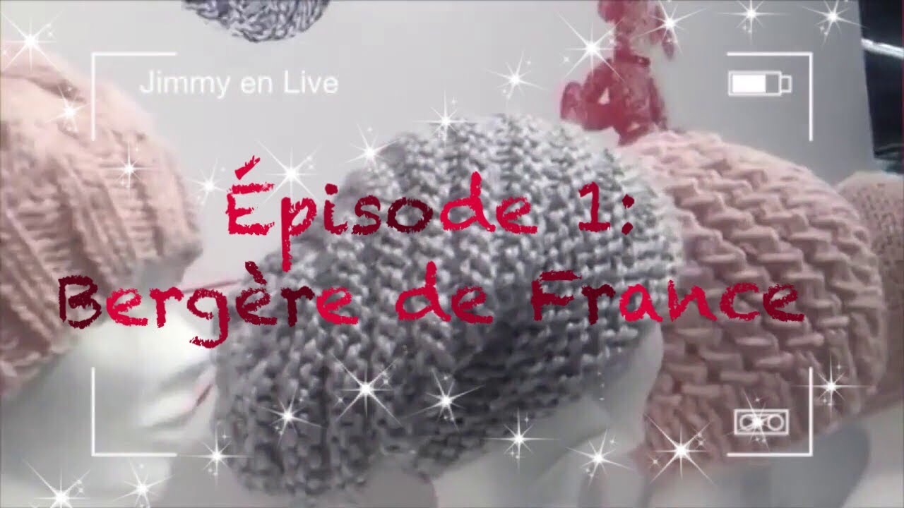Episode 1 :La visite de Bergère de France