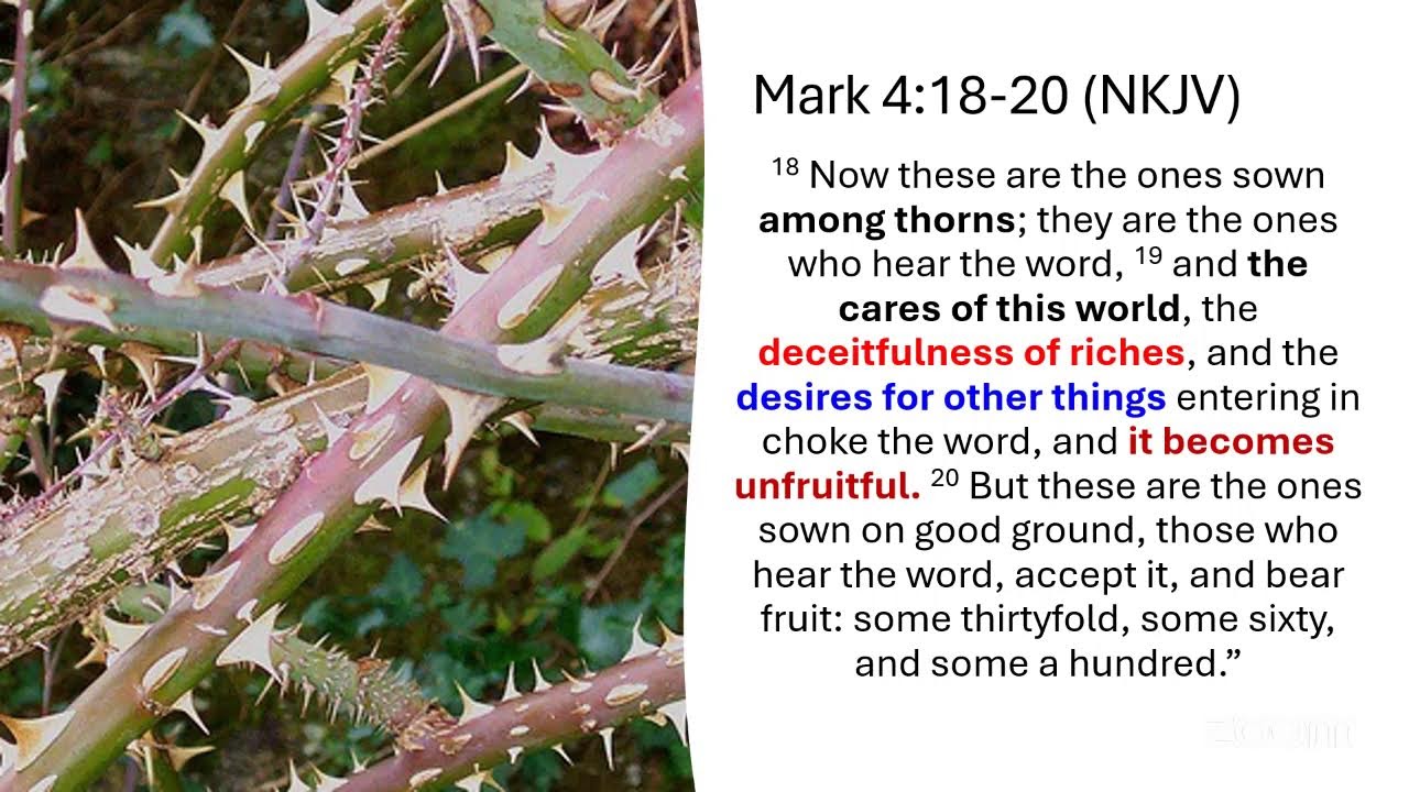 Thursday Online Bible Study 08.01.26