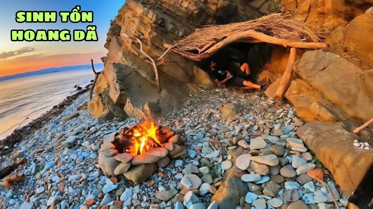 Sinh Tồn C&ugrave;ng Ch&uacute; Ch&oacute; Trung Th&agrave;nh &ndash; Cuộc Sống Giữa Biển Khơi Hoang D&atilde;