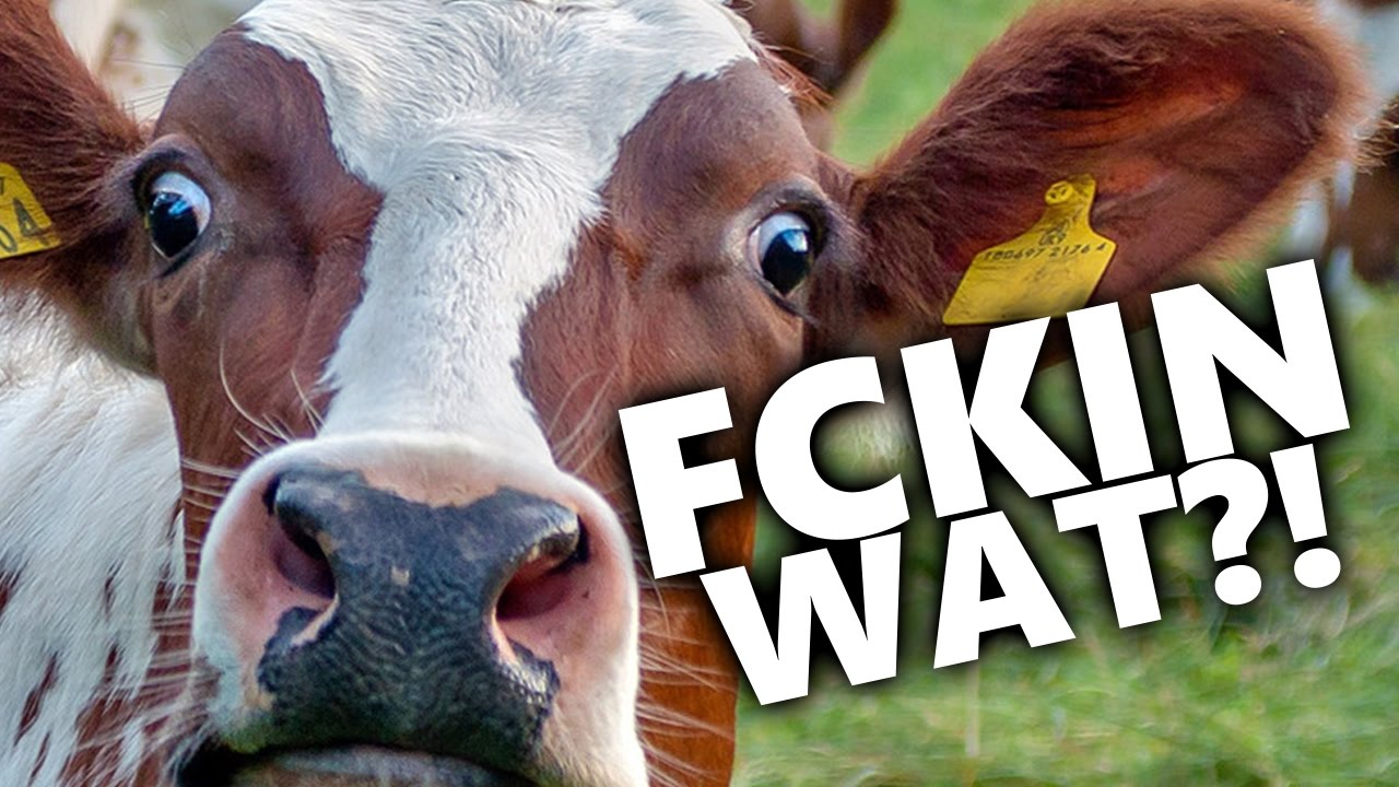 BUTCHERED AT THE BBQ?!?! | Party Hard #2
