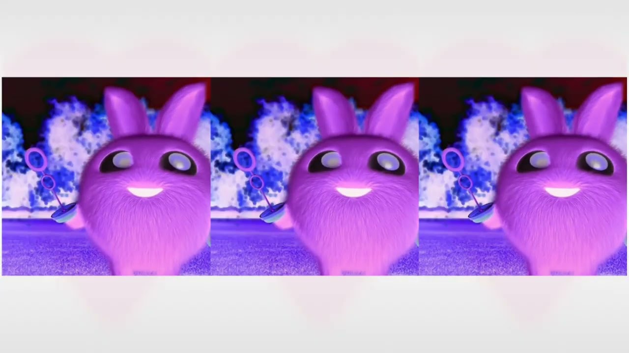 bunny