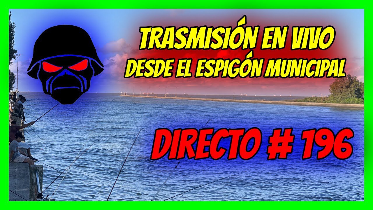DIRECTO # 196
