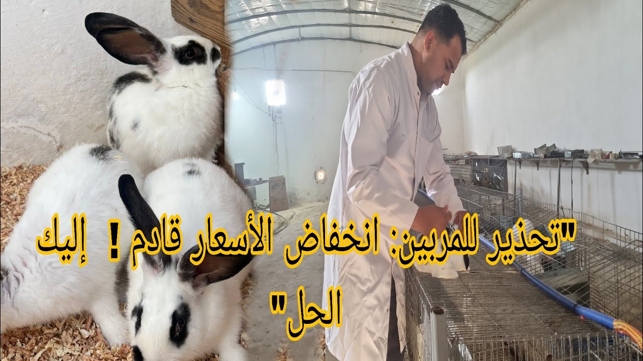 فضل البادية :