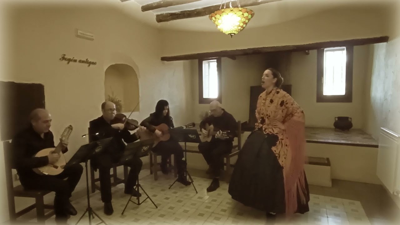 Virginia Pola   Si es que quiere de verdad