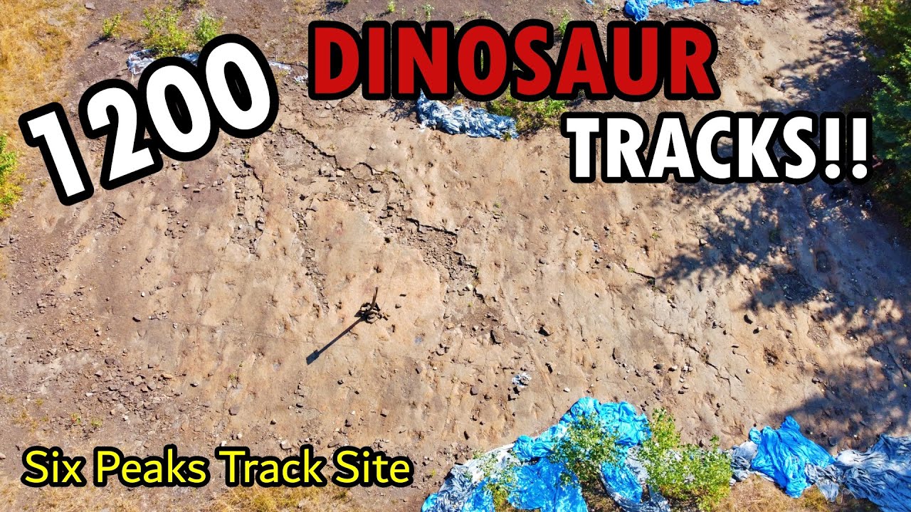 Six Peaks Dinosaur Track Site - Hudson's Hope BC