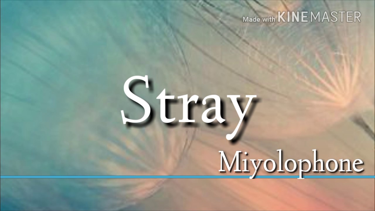 Stray-Miyolophone