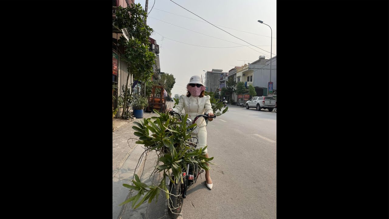 NHẠN THÁNG 8 HƯỜNG HÀ NAM 0399930009 || PHONG LAN RỪNG