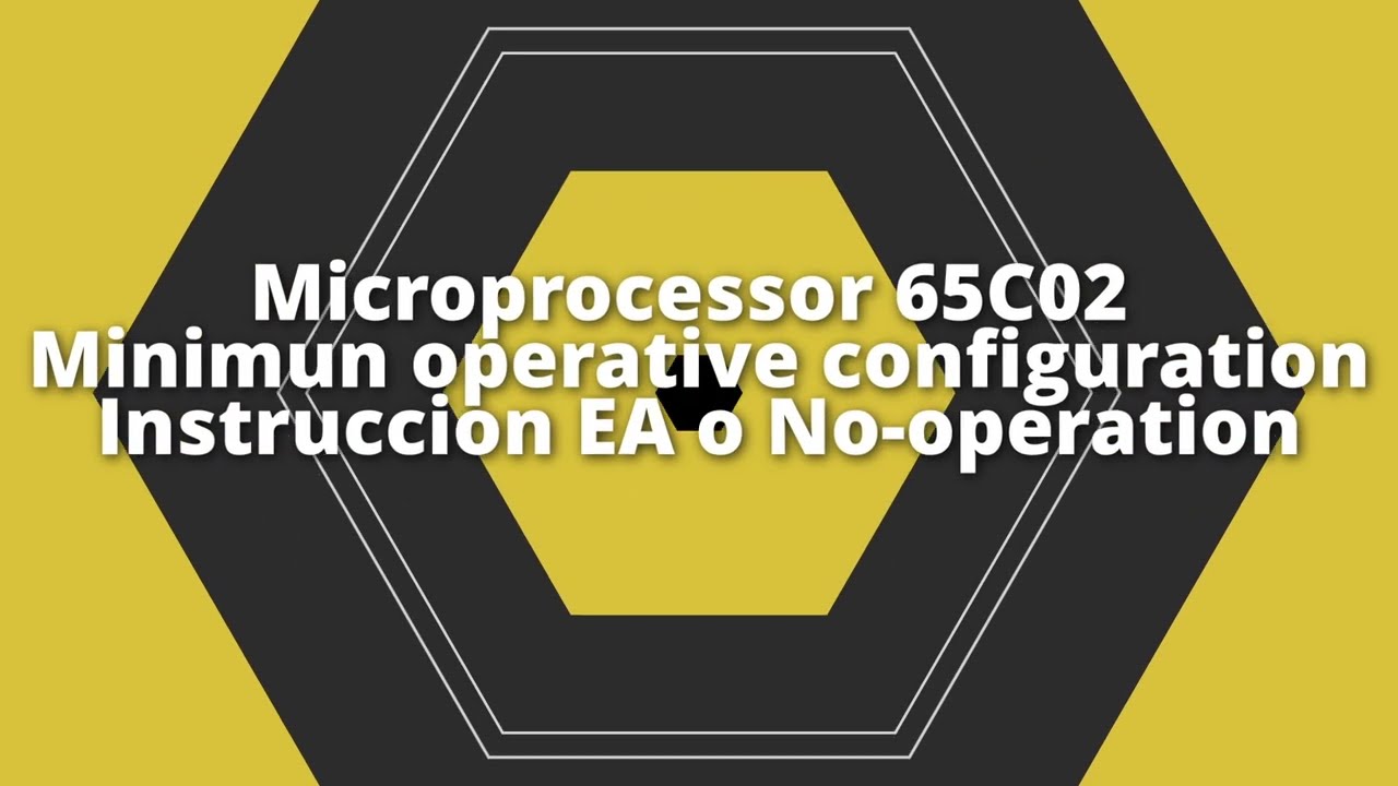 Microprocesador W65C02 (minimum operative configuration) configuración mínima operativa