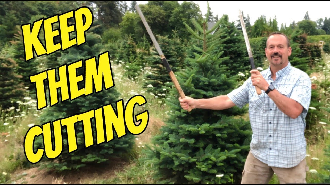 Christmas tree farming: 2 simple things about taking care of your knife.