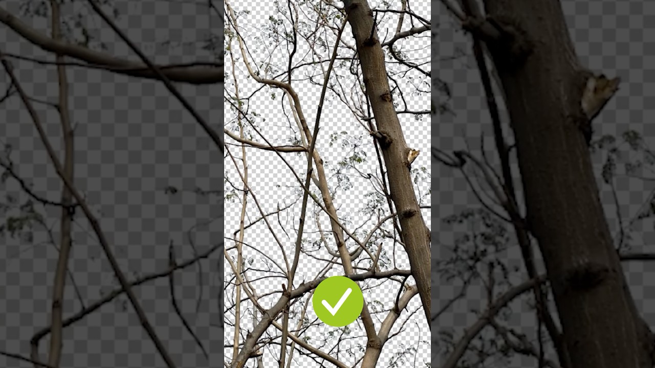 Quick Way to Remove Complex Background in Photoshop 2025 🤯 #shorts