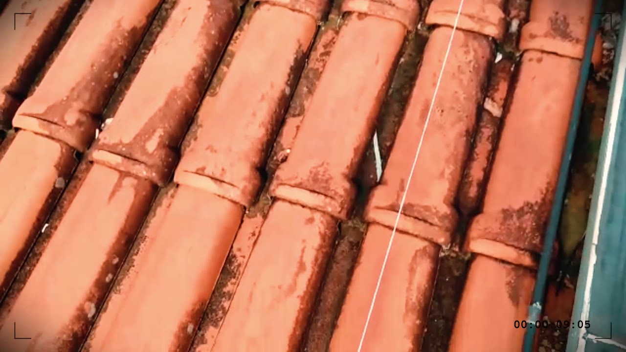 MOSTRANDO AS INSTALA&Ccedil;&Otilde;ES DO SISTEMA BIRD CONTROL EM UM DE NOSSOS CLIENTES |CotidianoNexth