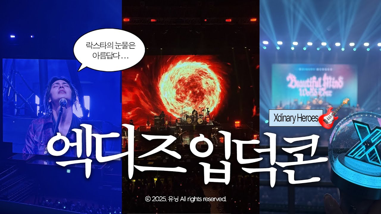 Vlog ✦ 빌런즈 되는 방법: 엑디즈 콘서트에 간다 | Beautiful Mind Finale | 엑디즈 콘서트 브이로그 | 엑스디너리히어로즈