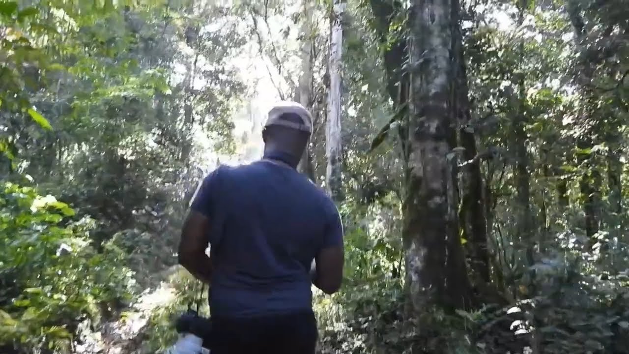 Lost Wings: S1 Ep. 4- Secret Birds of Kenya's Ancient Rainforest