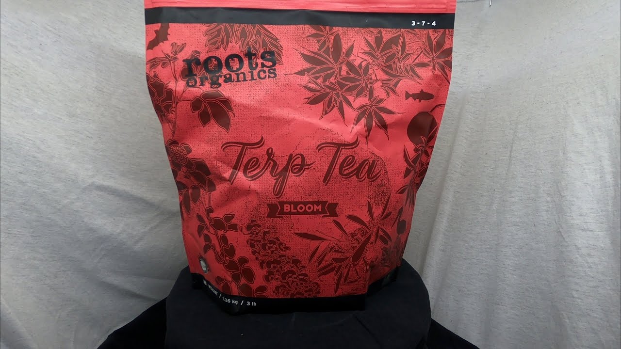 Terp Tea Bloom