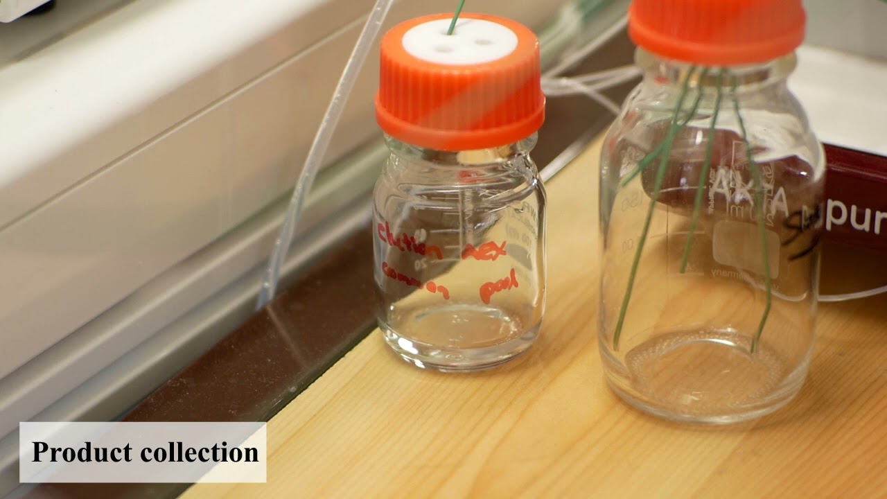 Integrated continuous downstream processing of monoclonal antibodies