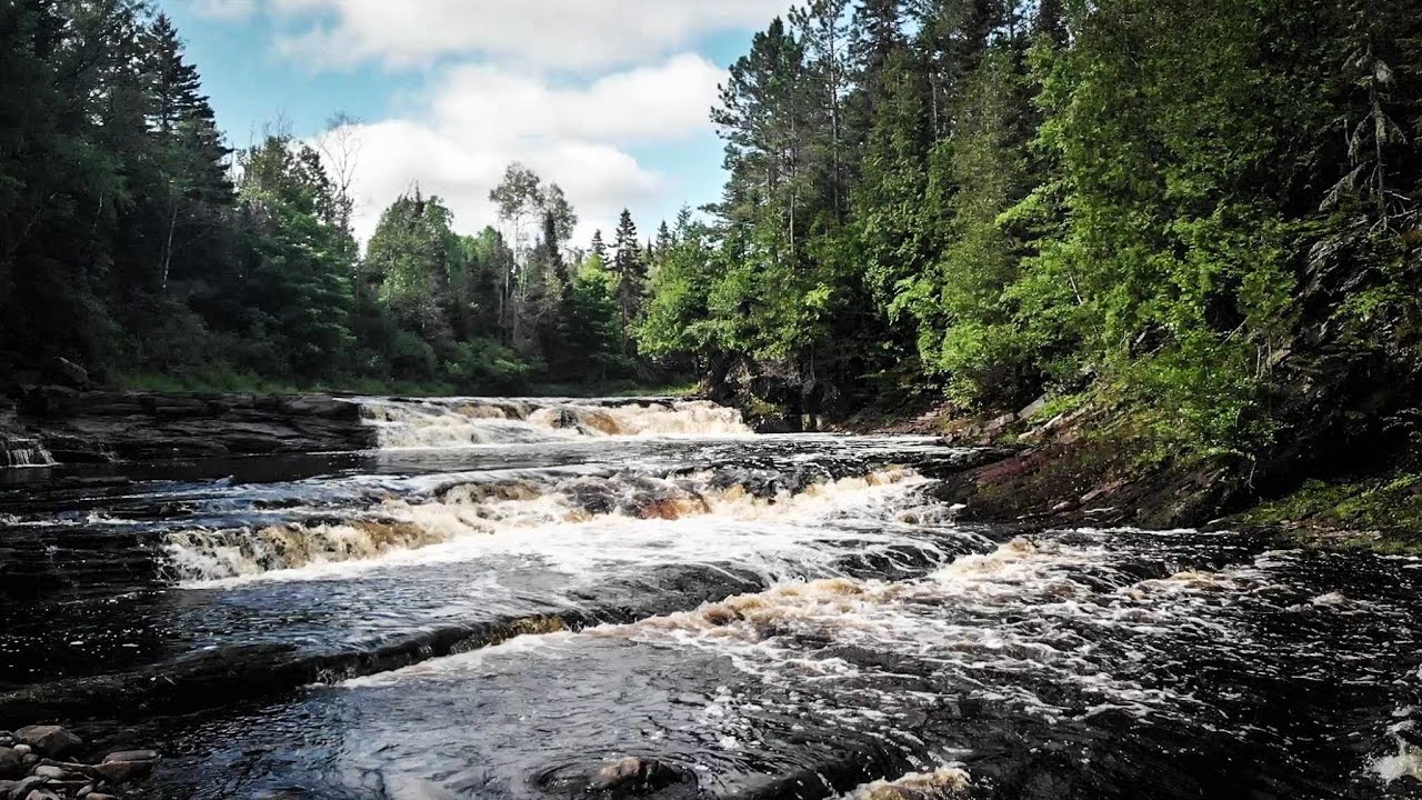 Pêche à la mouche dans une rivière à eau sombre | Pêche québec.
