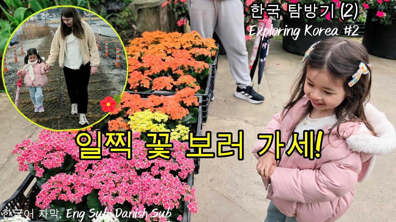 한국 탐방기 | Exploring Korea #2: 일찍 꽃 보러 가세!