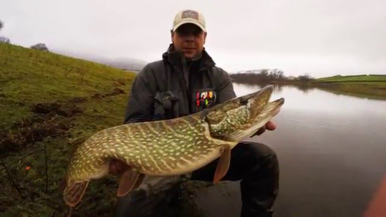 fishing in wales.lake trawsfynydd