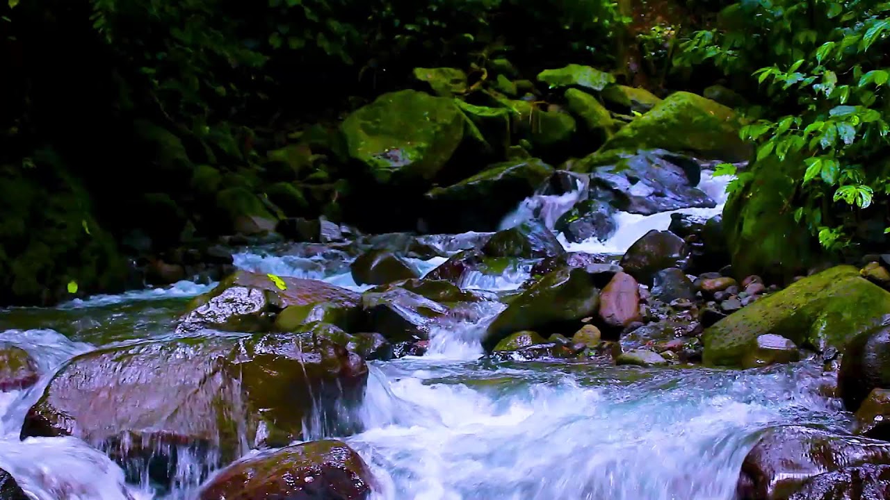 Calm Night Sounds of a Mountain River, Flowing Water White Noise for Sleep