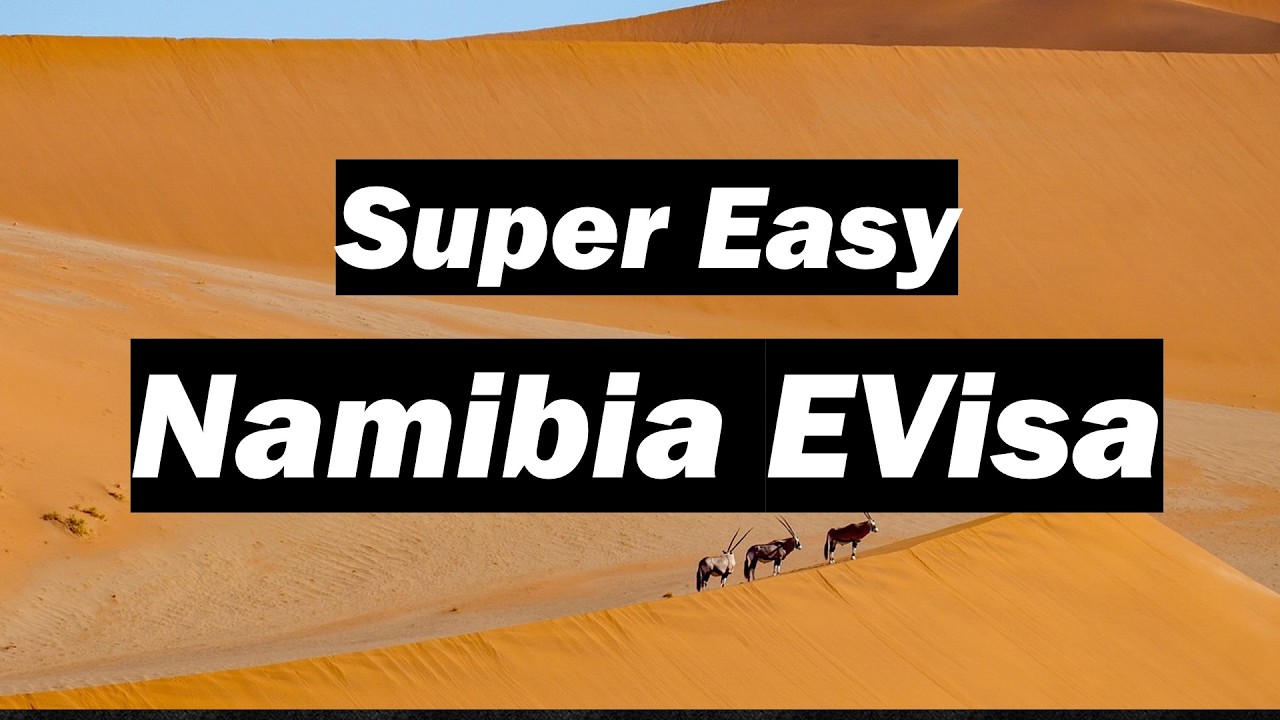 🇳🇦 How to complete the  Namibia E-Visa Application