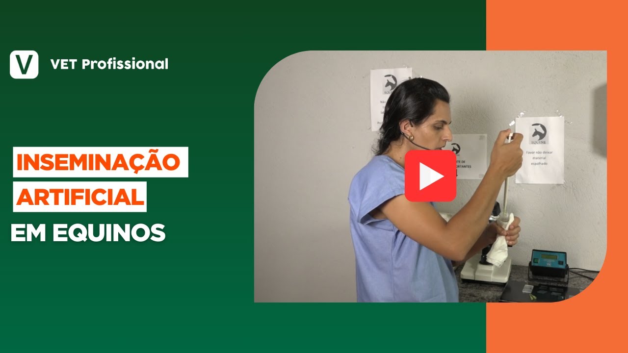Inseminação Artificial em Equinos