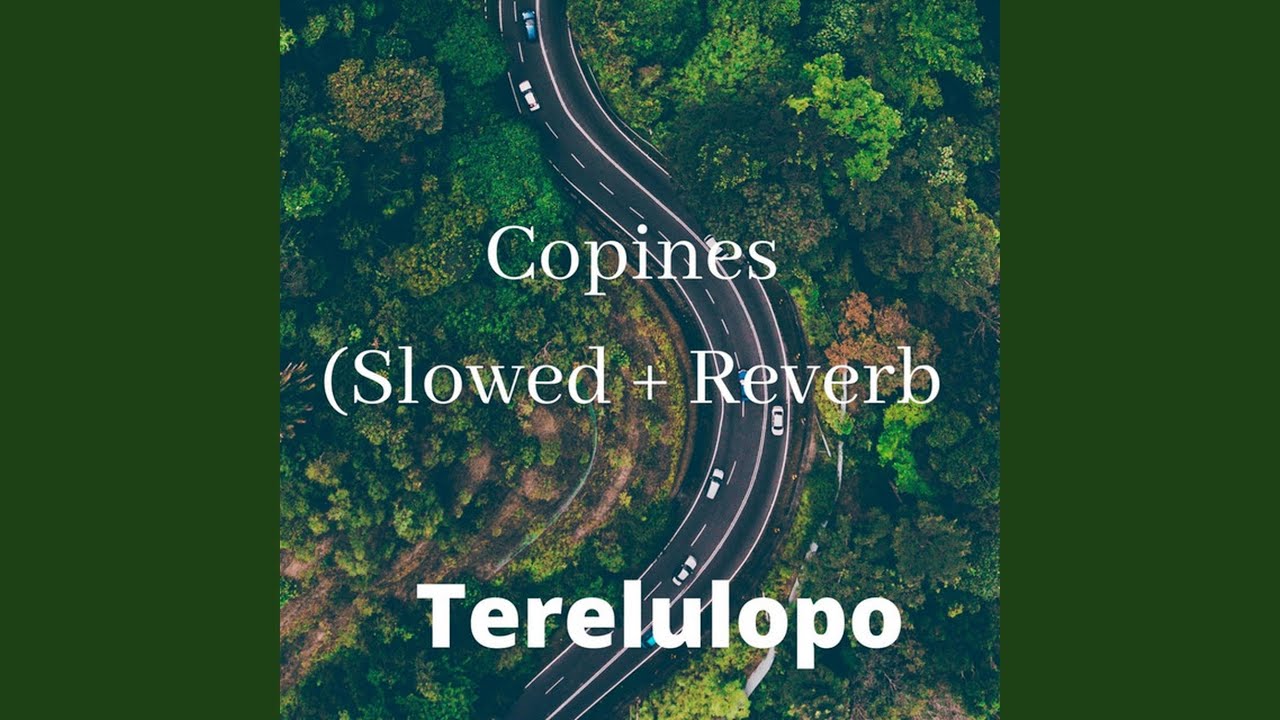 Copines (Slowed + Reverb)